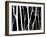 Reverse Silhouette II-Monika Burkhart-Framed Photographic Print
