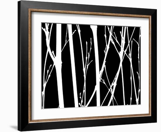 Reverse Silhouette II-Monika Burkhart-Framed Photographic Print