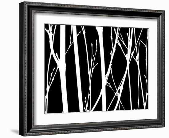 Reverse Silhouette II-Monika Burkhart-Framed Photographic Print