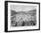 Revival of the Olympic Games in Athens: Loues Winning the Race from Marathon, 10th April 1896-null-Framed Giclee Print