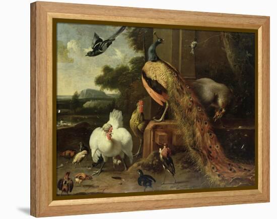 Revolt in the Poultry Coup-Melchior de Hondecoeter-Framed Premier Image Canvas