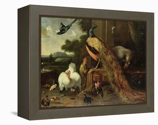 Revolt in the Poultry Coup-Melchior de Hondecoeter-Framed Premier Image Canvas