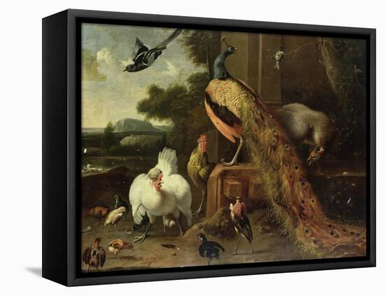 Revolt in the Poultry Coup-Melchior de Hondecoeter-Framed Premier Image Canvas