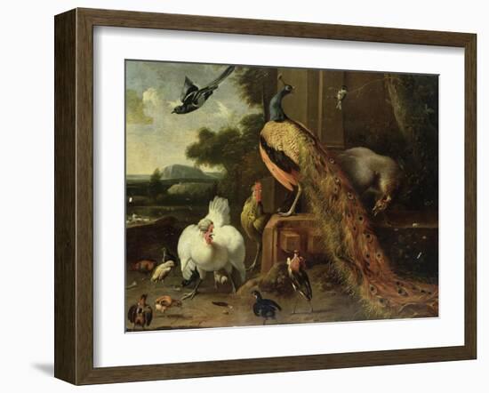 Revolt in the Poultry Coup-Melchior de Hondecoeter-Framed Giclee Print
