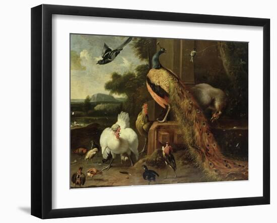 Revolt in the Poultry Coup-Melchior de Hondecoeter-Framed Giclee Print