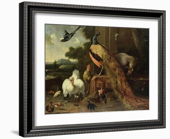 Revolt in the Poultry Coup-Melchior de Hondecoeter-Framed Giclee Print