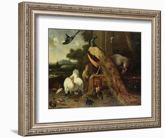 Revolt in the Poultry Coup-Melchior de Hondecoeter-Framed Giclee Print