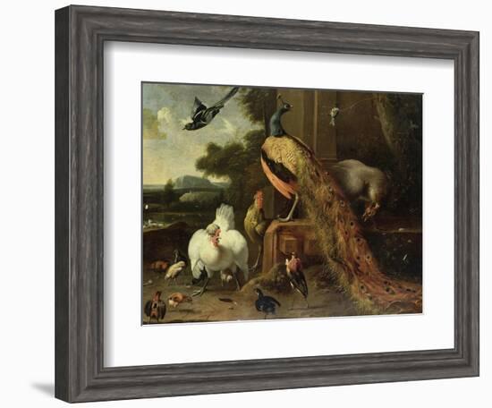 Revolt in the Poultry Coup-Melchior de Hondecoeter-Framed Giclee Print