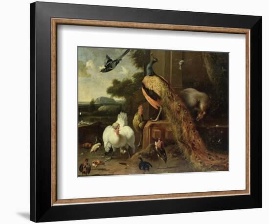 Revolt in the Poultry Coup-Melchior de Hondecoeter-Framed Giclee Print