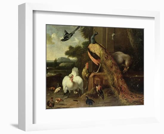 Revolt in the Poultry Coup-Melchior de Hondecoeter-Framed Giclee Print