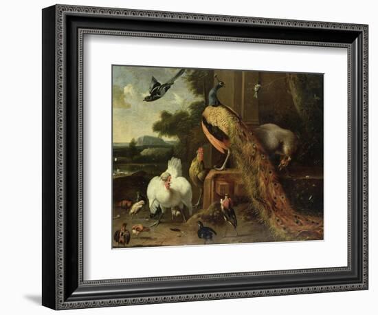 Revolt in the Poultry Coup-Melchior de Hondecoeter-Framed Giclee Print