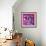 Revolver Pinks-Abstract Graffiti-Framed Giclee Print displayed on a wall