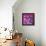 Revolver Pinks-Abstract Graffiti-Framed Premier Image Canvas displayed on a wall