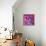 Revolver Pinks-Abstract Graffiti-Framed Premier Image Canvas displayed on a wall