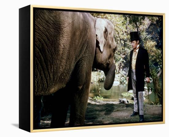 Rex Harrison - Doctor Dolittle-null-Framed Stretched Canvas