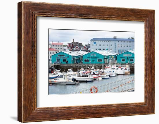 Reykjavik, Harbour, Historical Harbour Buildings-Catharina Lux-Framed Photographic Print