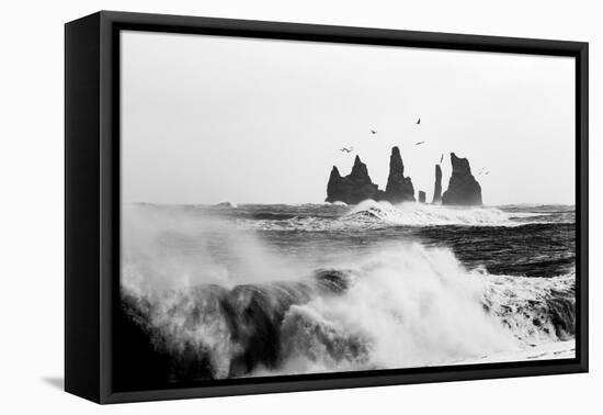 Reynisdrangar Birds-Philippe Sainte-Laudy-Framed Premier Image Canvas