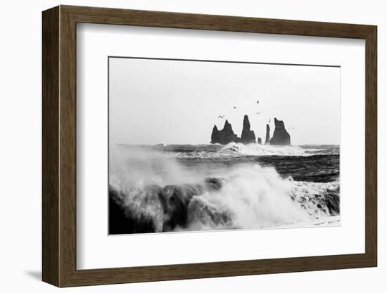 Reynisdrangar Birds-Philippe Sainte-Laudy-Framed Photographic Print