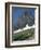 Reynolds Mountain in Summer-Neil Rabinowitz-Framed Photographic Print