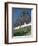 Reynolds Mountain in Summer-Neil Rabinowitz-Framed Photographic Print