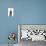 RF - Blue British shorthair kitten, walking.-Mark Taylor-Photographic Print displayed on a wall