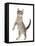 RF - Blue tabby kitten, 12 weeks, jumping up.-Mark Taylor-Framed Premier Image Canvas