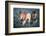 RF - Lions - two brothers patrolling territorial boundary. Serengeti / Ngorongoro Conservation Area-Nick Garbutt-Framed Photographic Print