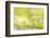 RF - Wild garlic/Ramson flowerts (Allium ursinum) Valency Valley, Boscastle, Cornwall, UK-Ross Hoddinott-Framed Photographic Print