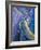 Rhapsody in Blue, 2019 (Acrylic on Canvas)-Margaret Coxall-Framed Giclee Print