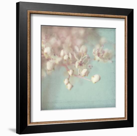 Rhapsody-Judy Stalus-Framed Art Print