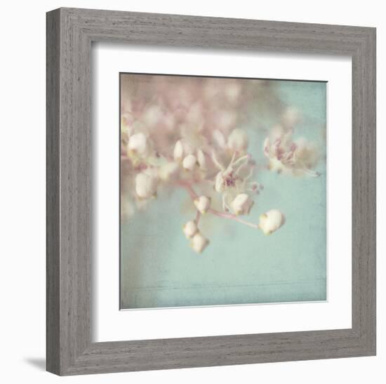 Rhapsody-Judy Stalus-Framed Art Print