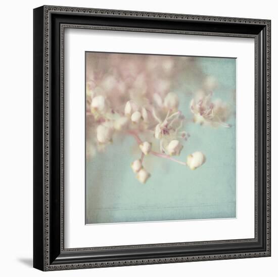 Rhapsody-Judy Stalus-Framed Art Print