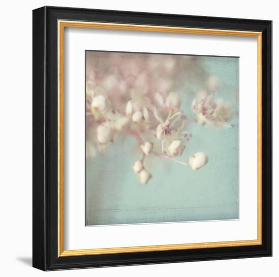 Rhapsody-Judy Stalus-Framed Art Print