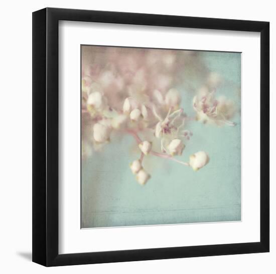 Rhapsody-Judy Stalus-Framed Art Print