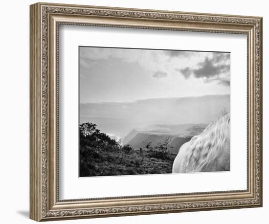 Rheinlandschaften 2, 2015-Jaschi Klein-Framed Photographic Print