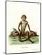 Premium Giclee Print