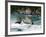 Rhine Falls, Schaffhausen, Switzerland, Europe-Hans Peter Merten-Framed Photographic Print