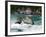 Rhine Falls, Schaffhausen, Switzerland, Europe-Hans Peter Merten-Framed Photographic Print