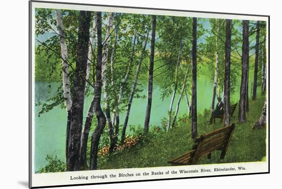 Rhinelander, Wisconsin - Wisconsin River Banks Scene-Lantern Press-Mounted Art Print