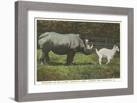 Rhino and Goat, Zoo, Philadelphia, Pennsylvania-null-Framed Art Print