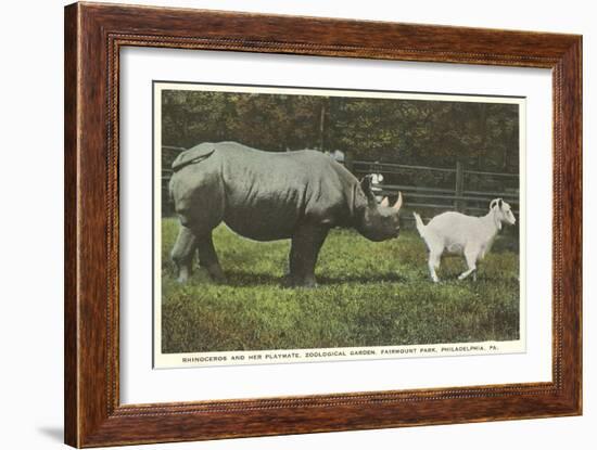 Rhino and Goat, Zoo, Philadelphia, Pennsylvania-null-Framed Art Print