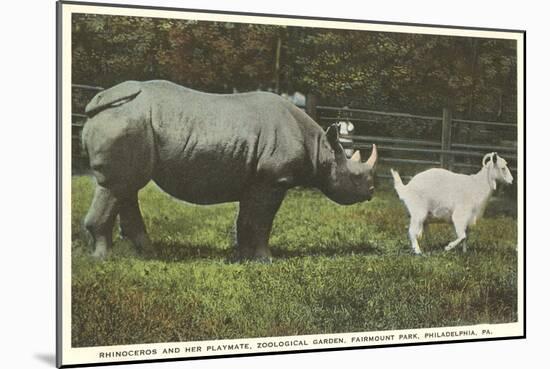 Rhino and Goat, Zoo, Philadelphia, Pennsylvania-null-Mounted Art Print