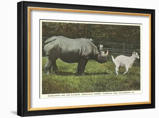 Rhino and Goat, Zoo, Philadelphia, Pennsylvania-null-Framed Art Print