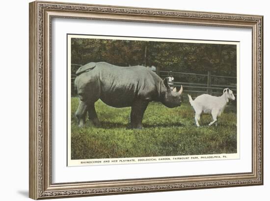 Rhino and Goat, Zoo, Philadelphia, Pennsylvania-null-Framed Premium Giclee Print