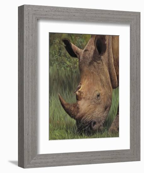 Rhino and Oxpecker Bird-David Stribbling-Framed Art Print