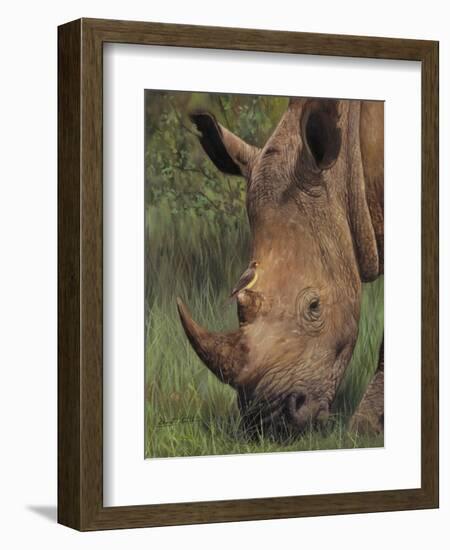 Rhino and Oxpecker Bird-David Stribbling-Framed Art Print