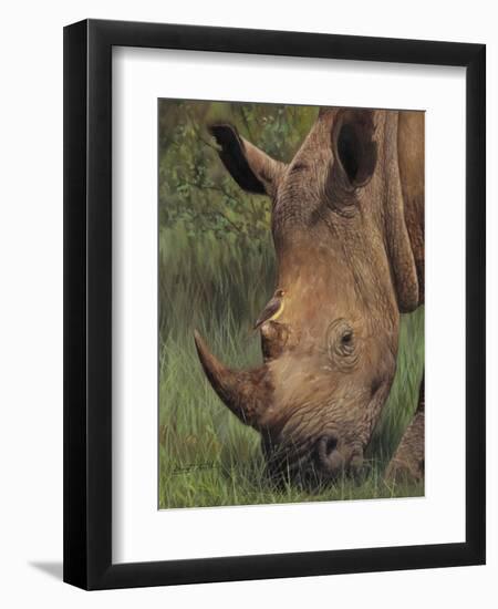 Rhino and Oxpecker Bird-David Stribbling-Framed Art Print