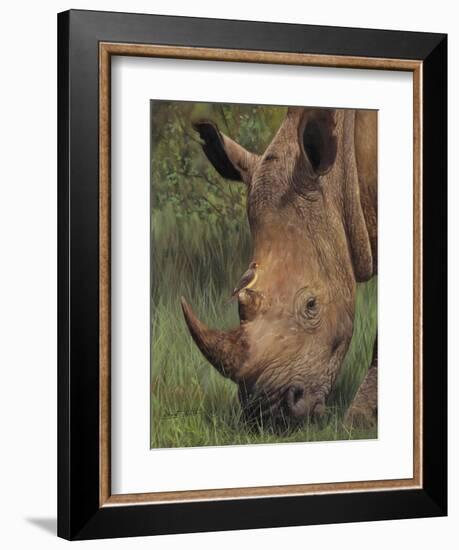 Rhino and Oxpecker Bird-David Stribbling-Framed Art Print