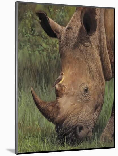 Rhino and Oxpecker Bird-David Stribbling-Mounted Art Print