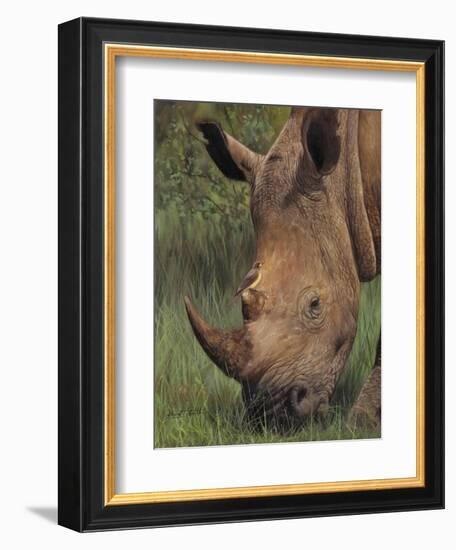 Rhino and Oxpecker Bird-David Stribbling-Framed Art Print